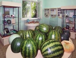 ���������� �����