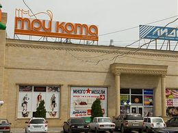 ��� ����