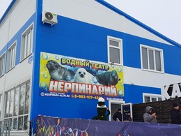 ����������