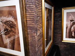 Dance Pub ������ ������