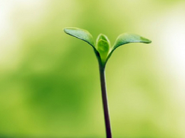 ���������� ����� ������������