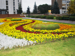 ����� ������� � ����������� �����