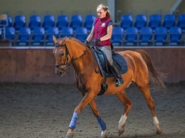 ��������������� �������� ������