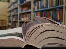 ���������� �10 �������