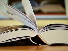 ���������� �17