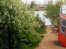 ���� ����