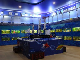 ���-��������