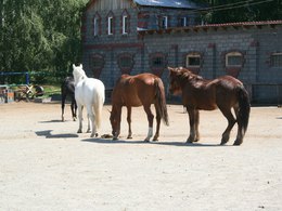 �������. �����-���������� ��������