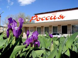 ��� ��������