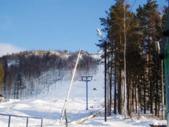 ���� ������