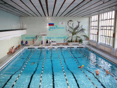 AVS ��������