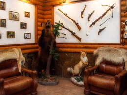 �������� ����