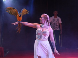 ����-������ ������  �. �������� (������� ���������)