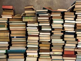 ������������ ���������� ����������