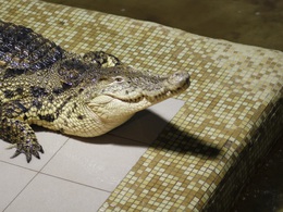 ������������