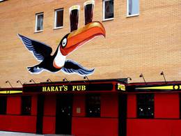 Harat�s pub