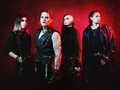 Neverlove