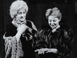 ���������. �������� ����������