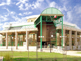 �������-����������� �������� ����������� ������ ��. �. �. �����������