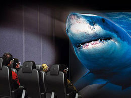 4D ����������