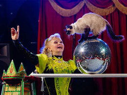 ���� ��������, ����������� ���, ��������� �-�,  �. ������ (���������� �/�)