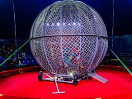 ����-������  ����������  �������. (�������)