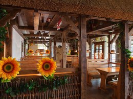 ���� �����