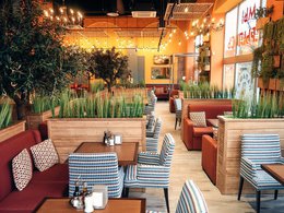 ������ �����