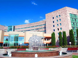 ����, ���������