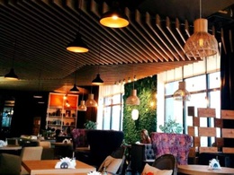 �������� ����