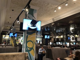 ���������