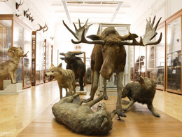 ������������� ����� � �������� ��. �.�. ���������