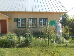 ���������� �������� ����