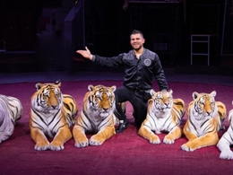 ��� ��������� ��������� ����������� (������� �������)