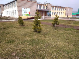 ���������� ���