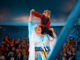 ����-������ �������