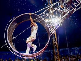 ���� ����������