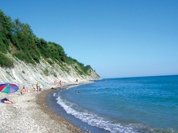 ���. �������