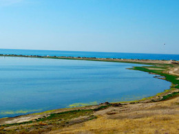 ��������� ����, �����, ������������ ���������