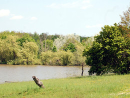 ��������� �������������