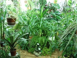 ������ ��� ����������� ������