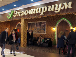 ���� ��������