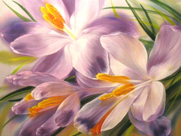 �������� ����