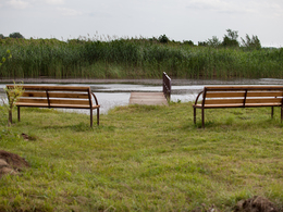 �������