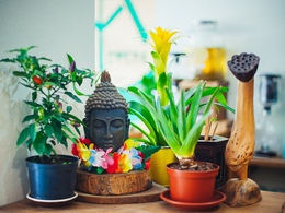 ���� �����