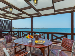 ���� �����