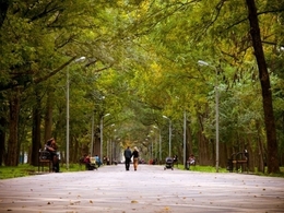 ������������, ���� �������� ������� (������������ ����)