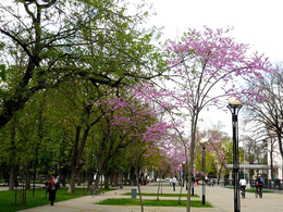 ������������ �������� ��������� ������