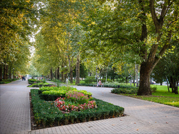 ������� ����� �� ����� �������