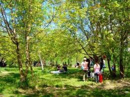 �������������� ����